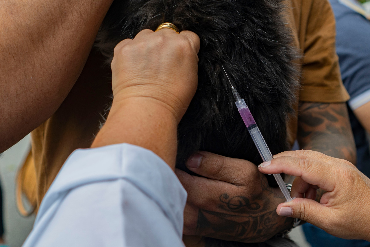 Zoonoses de Cotia realiza evento ‘Vacinação contra raiva no Seu Bairro’ para cães e gatos